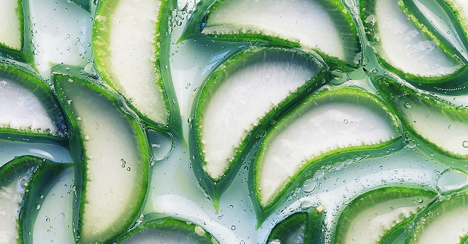 Aloe vera: tutti i benefici per la pelle di viso e corpo